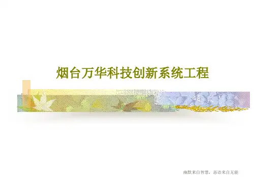 烟台万华科技创新系统工程共41页
