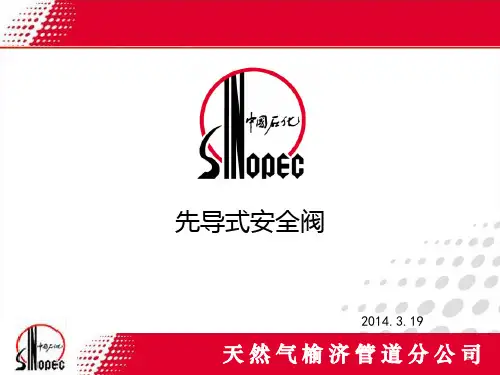 先导式安全阀PPT课件