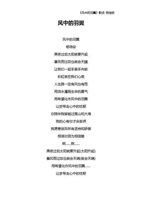 《风中的羽翼》歌词 杨培安