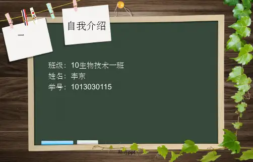 交感神经与副交感神经