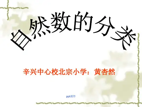 自然数的分类ppt课件