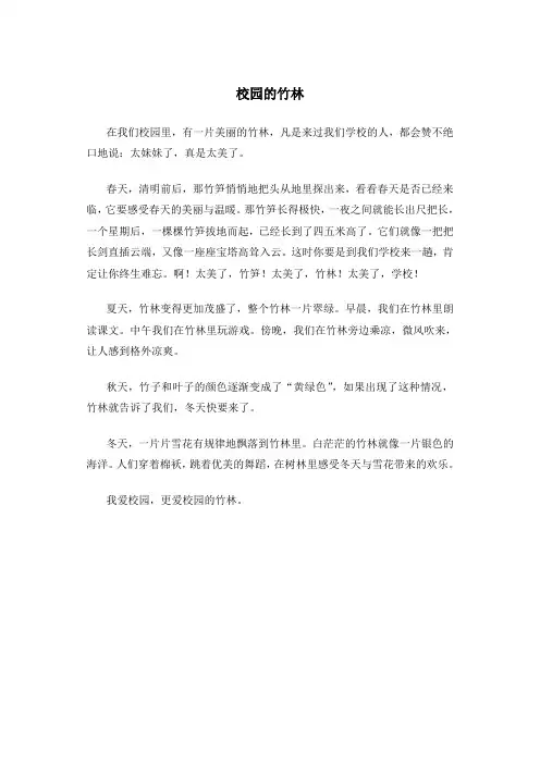 校园的竹林