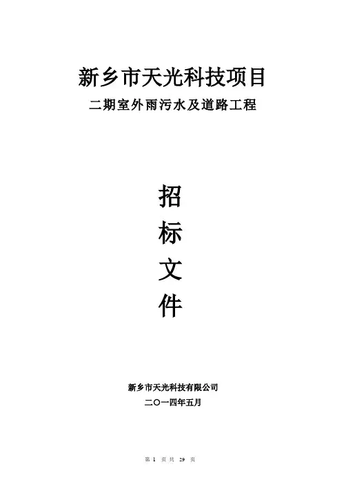 二期项目室外道路、污雨水招标文件