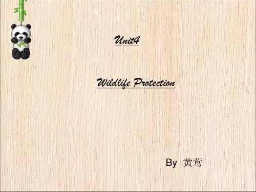 高中英语 必修二 Unit4 《Wildlife protection ---Reading