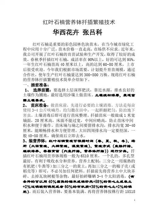 浙江金华红叶石楠扦插繁殖技术