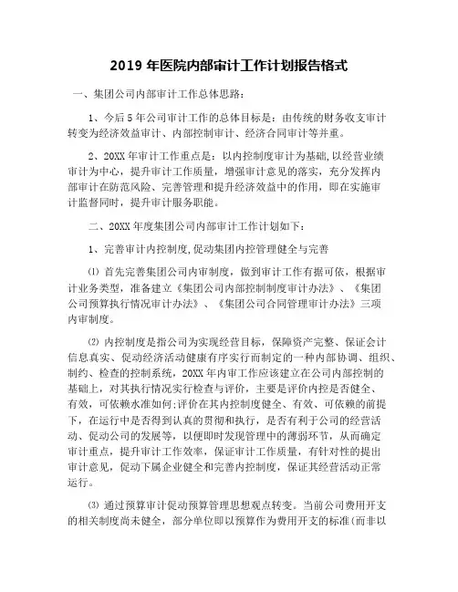 2019年医院内部审计工作计划报告格式