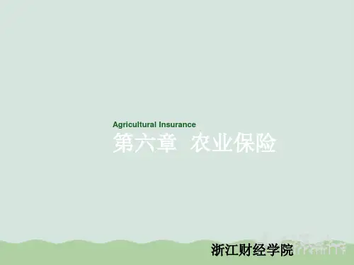 农业保险概述PPT(共48页)