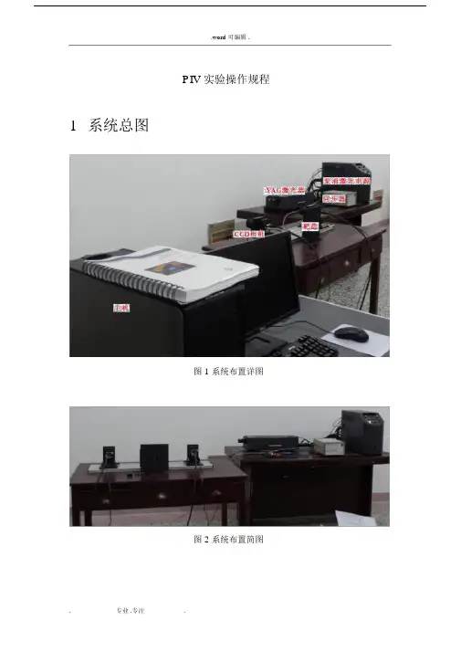 PIV_操作规程完整.docx