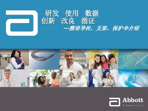 17导丝