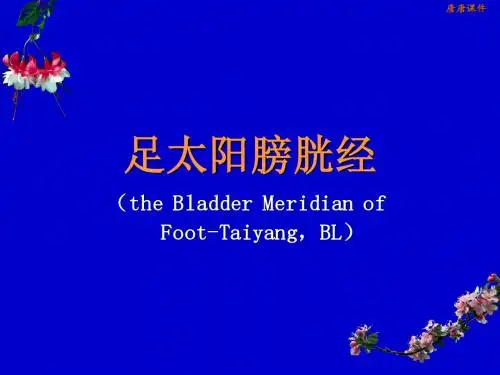 足太阳膀胱经腧穴