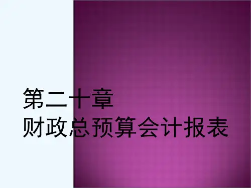 财政预算管理及财务报表