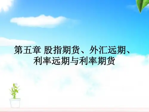 第五章 股指期货、外汇远期、利率远期与利率期货