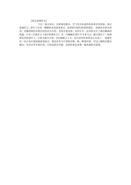 雨后荷塘作文