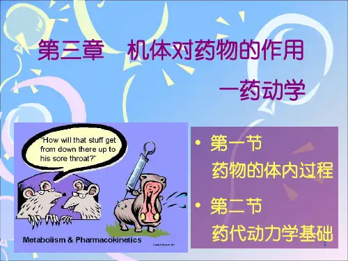药物代谢动力学 3