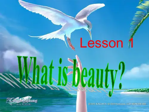 Lesson 1 What is beauty