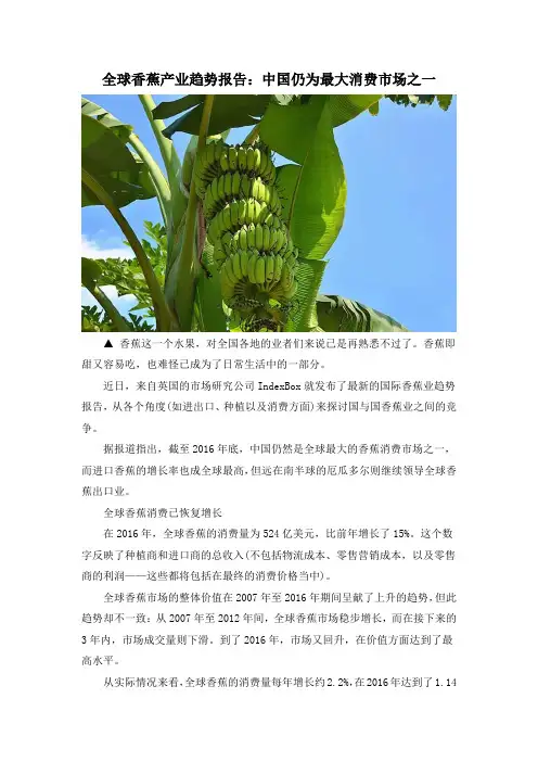 全球香蕉产业趋势报告：中国仍为最大消费市场之一