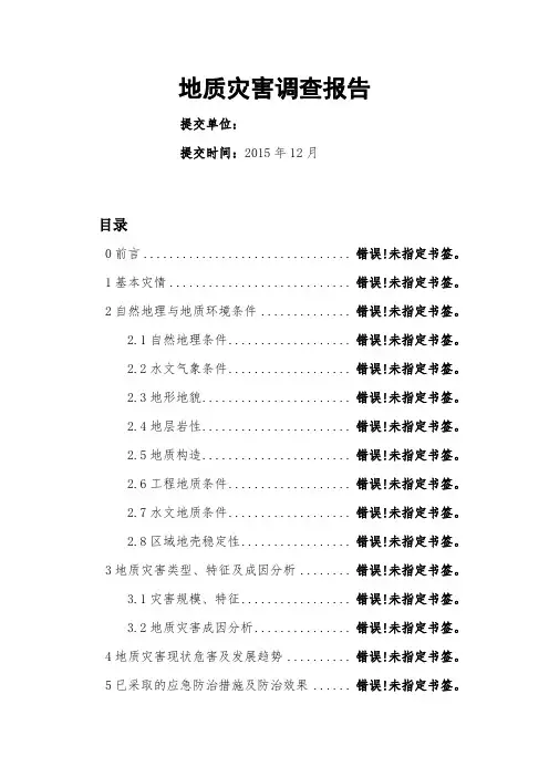 地质灾害调查报告
