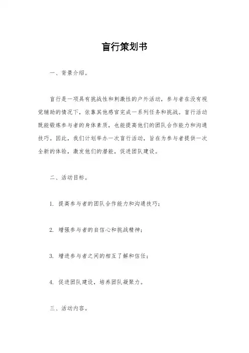 盲行策划书