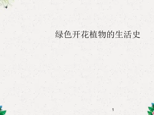 北师大版七上第6章第1节 种子萌发形成幼苗(15张PPT)