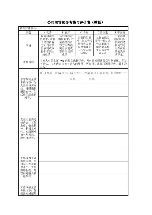 公司主管领导考核与评价表(模板)