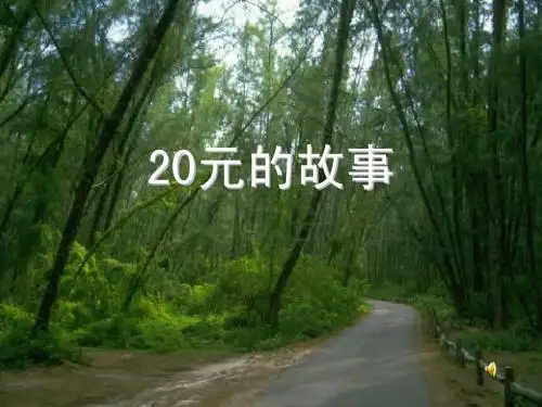 20元的故事(中英文)