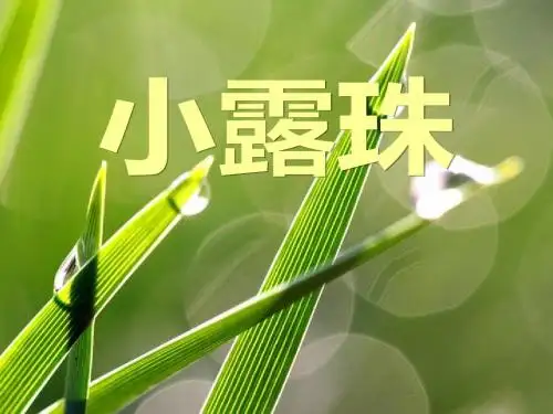 二年级下语文课件-6 小露珠｜冀教版 (共34张PPT)