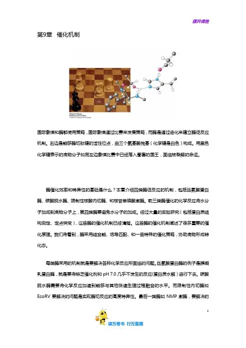 上海交大 中文翻译 生物化学课本：第9章   催化机制