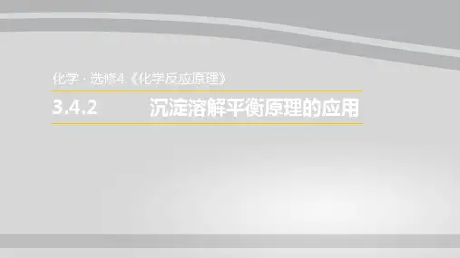 苏教化学选修 化学反应原理专题3 第四单元 沉淀溶解平衡原理(共17张PPT)