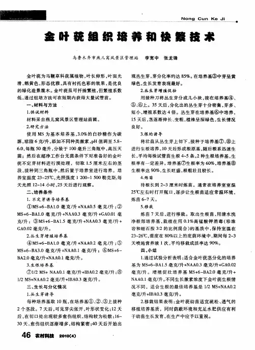 金叶莸组织培养和快繁技术