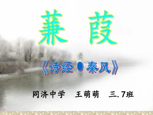 蒹葭公开课精美课件.ppt