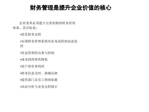 【企业诊断】北大纵横--某公司做的财务管理诊断