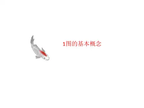 1图的基讲义本概念