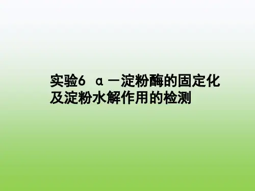 高中生物PPT课件a-淀粉酶的固定化与淀粉溶液的检测