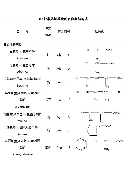 二十种氨基酸结构式