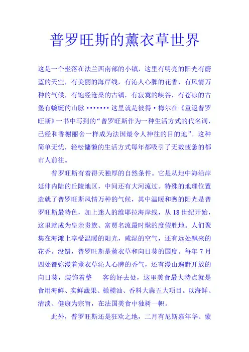 普罗旺斯小镇