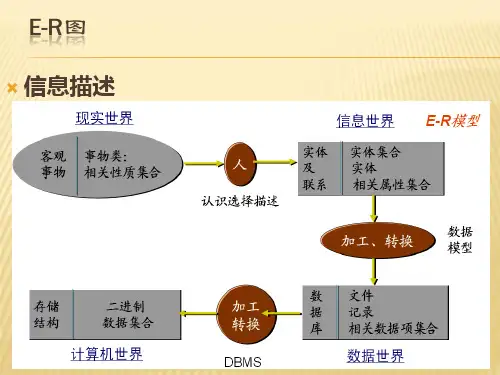 E-R图信息描述