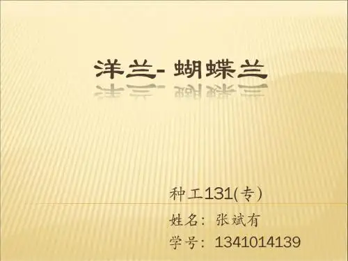 蝴蝶兰