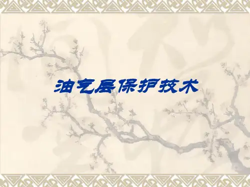 油气层保护