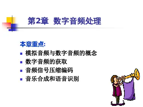 数字音频处理