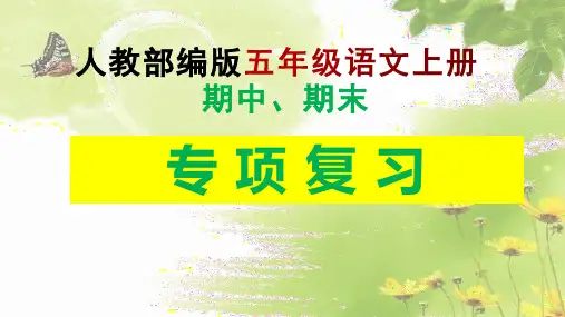 部编版五年级语文上册 期中期末复习