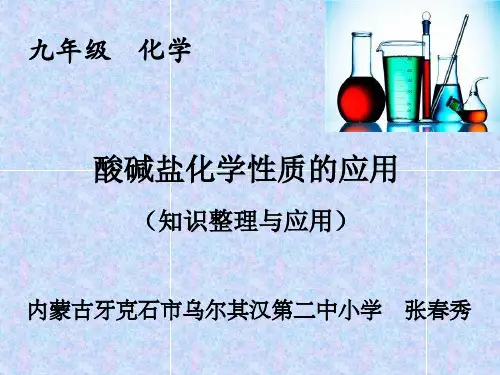 北京版九年级下册化学:整理与复习