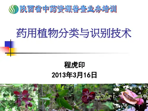药用植物分类与识别技术 -程虎印