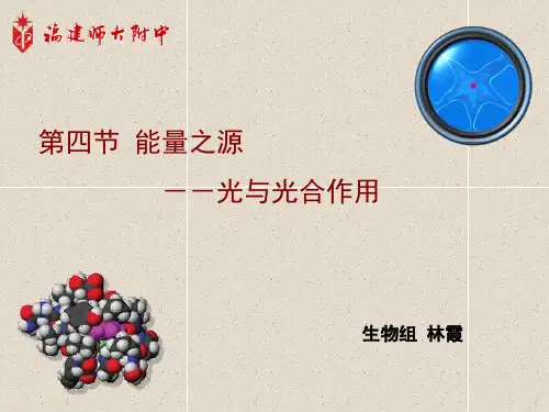 优质课 人教版生物必修一第五章第四节 光合作用的影响因素