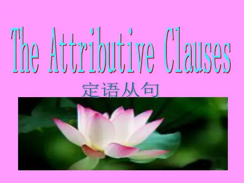 高一英语语法定语从句ppt