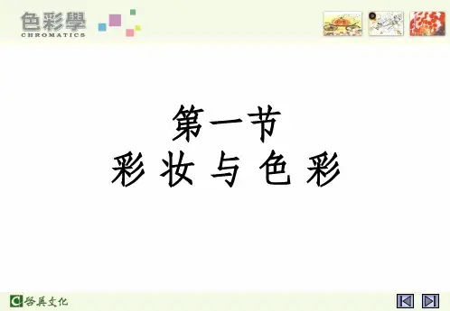 彩妆基础知识——色彩ppt课件