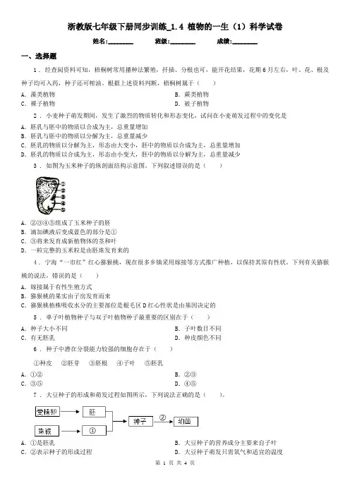浙教版七年级下册同步训练_1.4 植物的一生(1)科学试卷