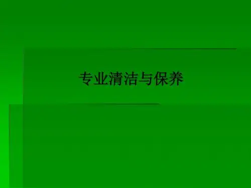 专业清洁与保养ppt课件