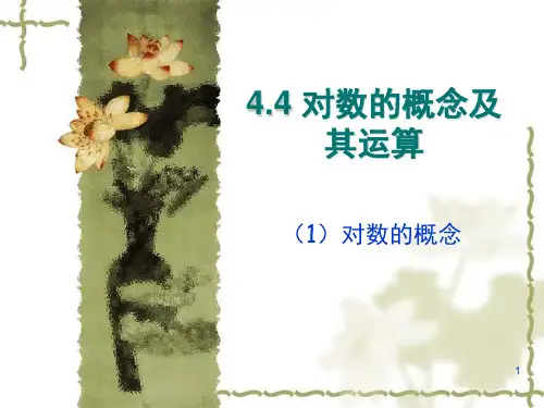 对数概念及其运算(课堂PPT)