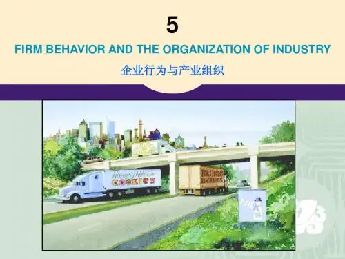 13-生产成本曼昆 上财 课件~~~