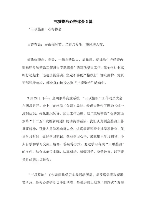 三项整治心得体会3篇